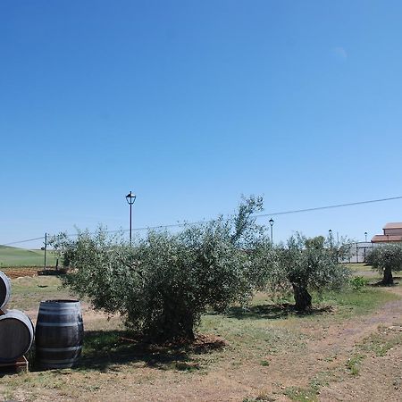 Casa Rural Teso De La Encina Villamor de los Escuderos Εξωτερικό φωτογραφία