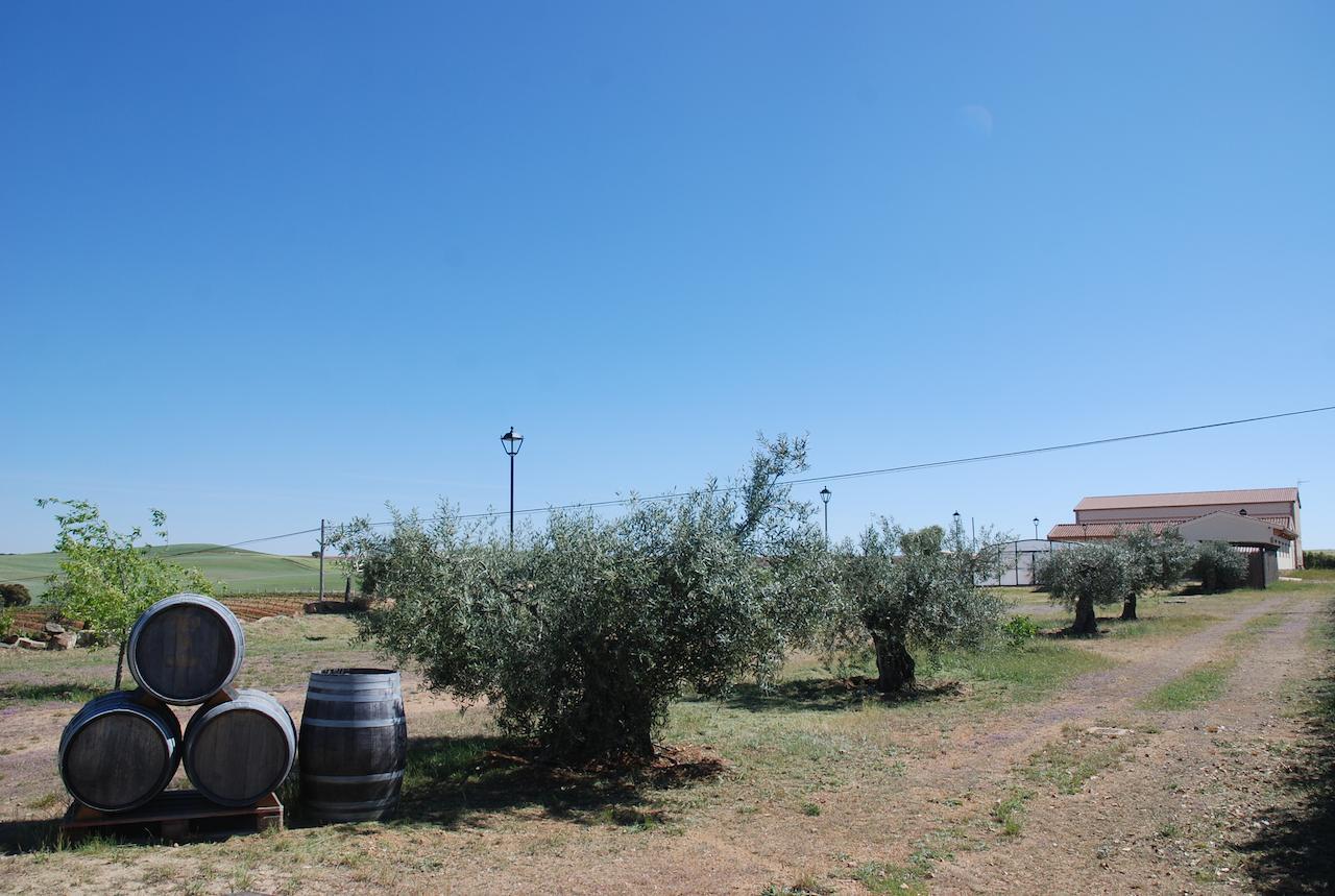 Casa Rural Teso De La Encina Villamor de los Escuderos Εξωτερικό φωτογραφία