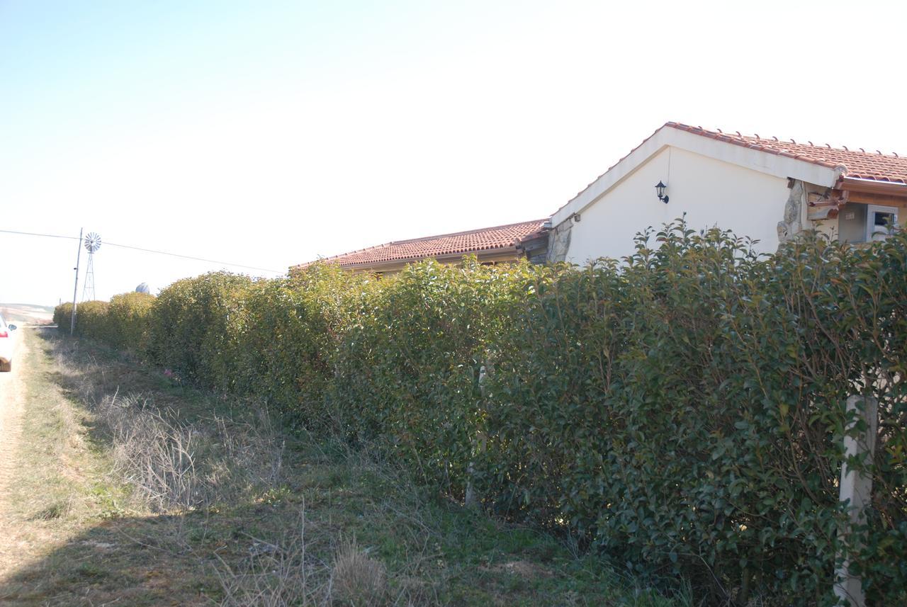 Casa Rural Teso De La Encina Villamor de los Escuderos Εξωτερικό φωτογραφία
