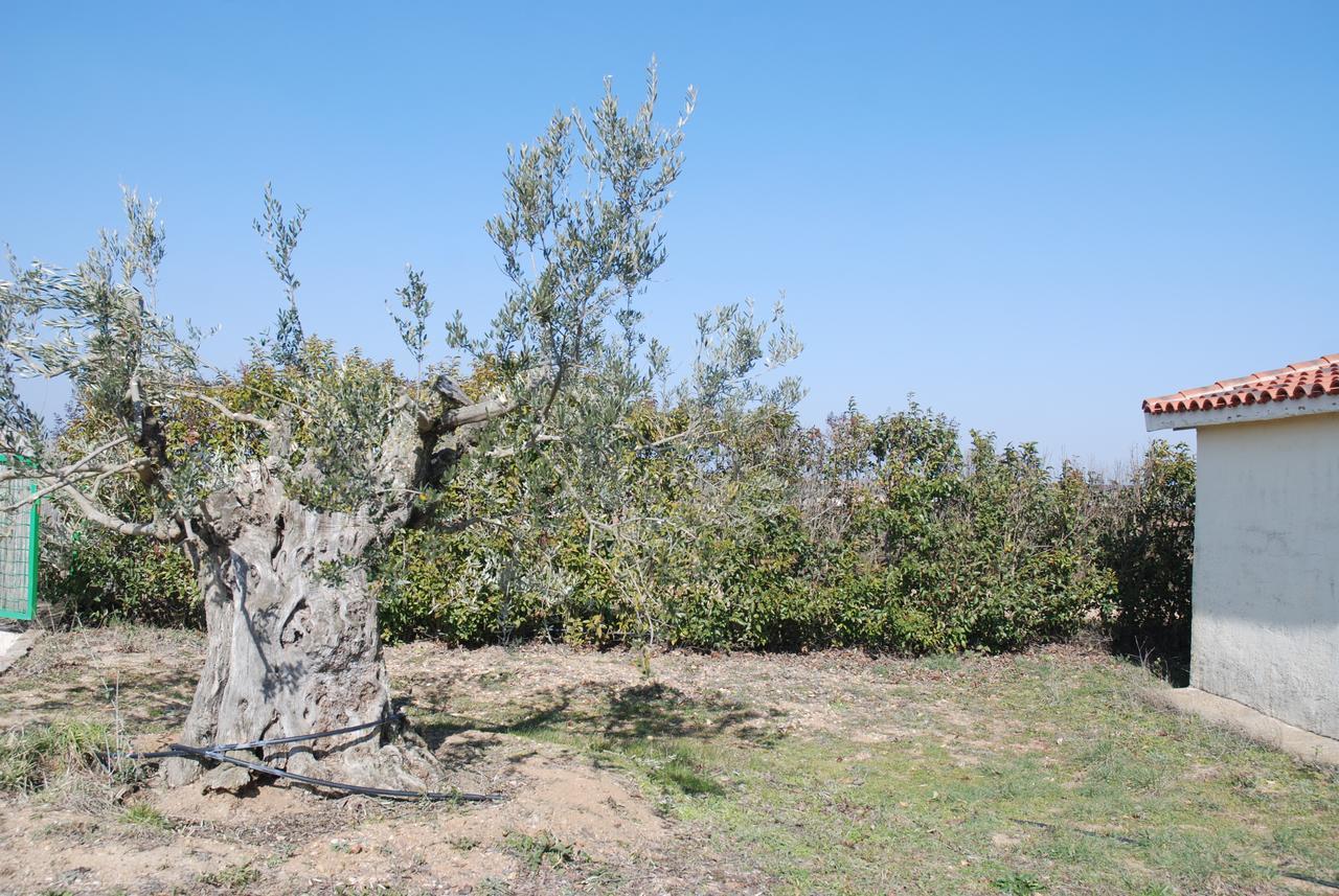 Casa Rural Teso De La Encina Villamor de los Escuderos Εξωτερικό φωτογραφία