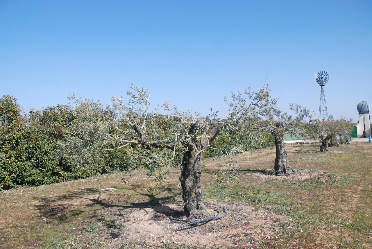 Casa Rural Teso De La Encina Villamor de los Escuderos Εξωτερικό φωτογραφία