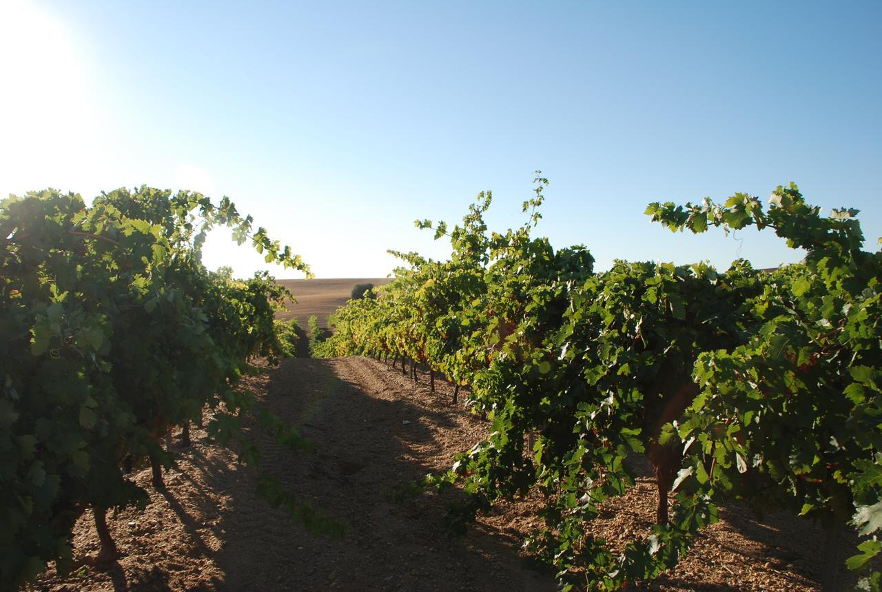 Casa Rural Teso De La Encina Villamor de los Escuderos Εξωτερικό φωτογραφία